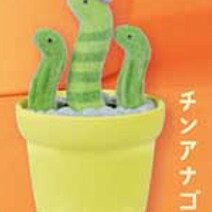 사랑스러운 귀여운 선인장 동물원 가샤폰 캡슐 장난감 모 - Capsule Toy Gashapon 리뷰 및 가격